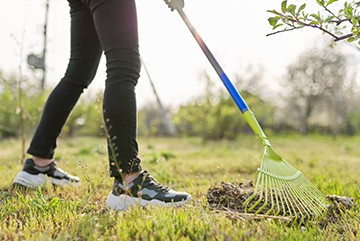 Yard Clean Up