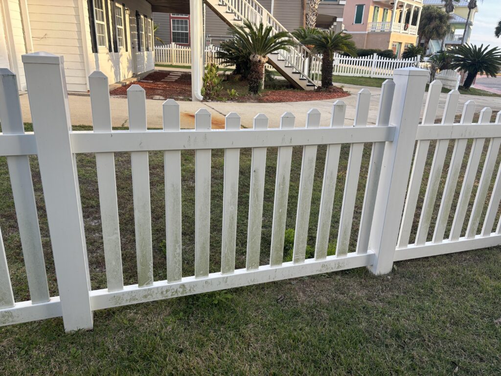 moldy fence before cleaning