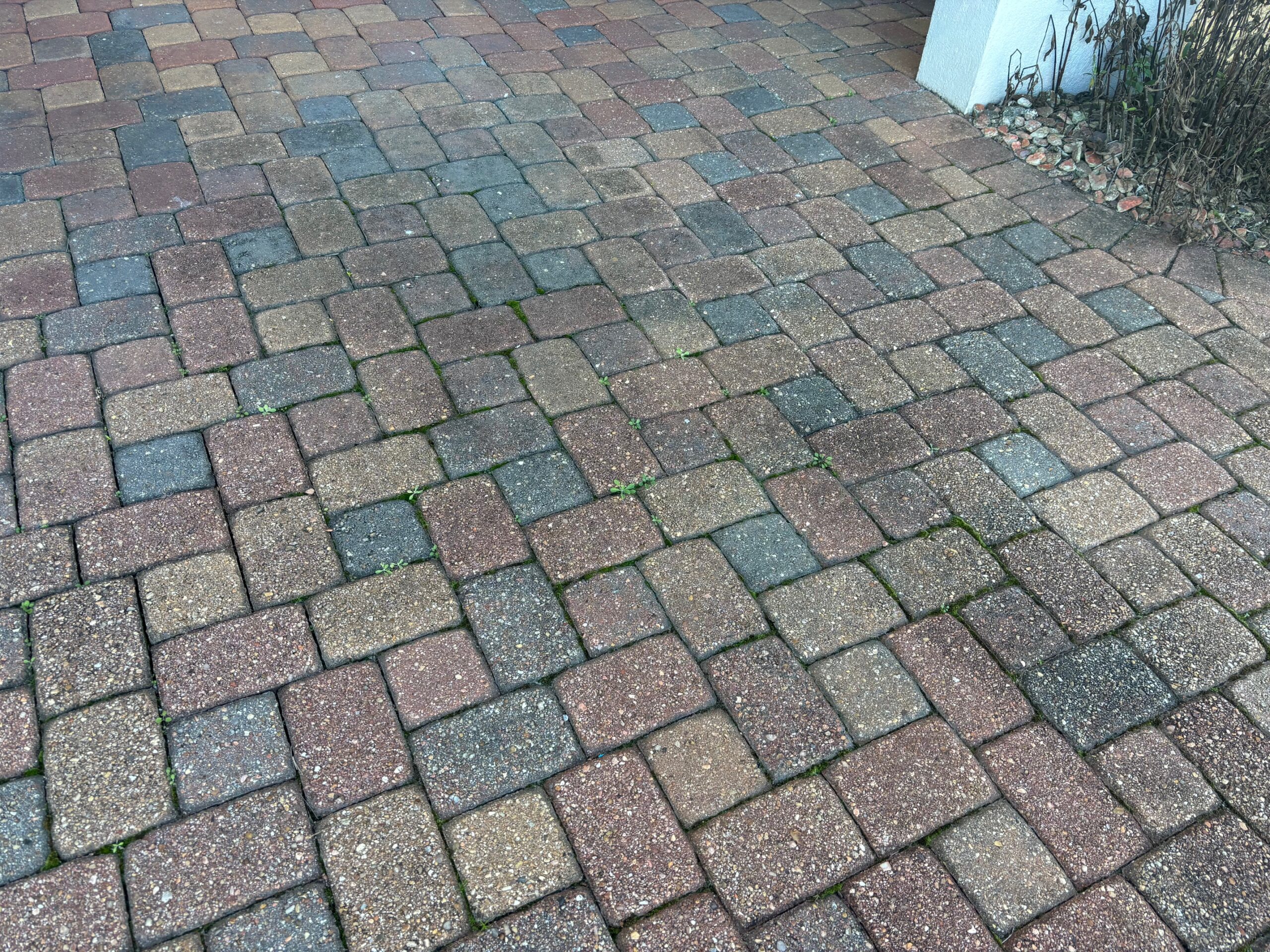 pavers before cleaning