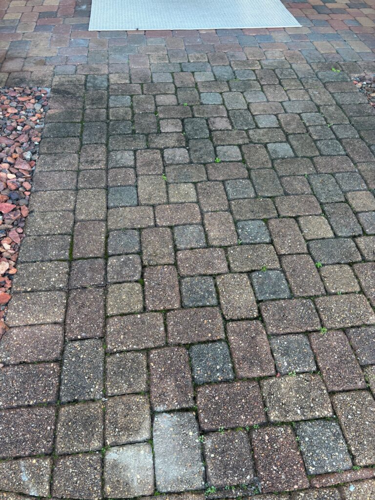 pavers before cleaning