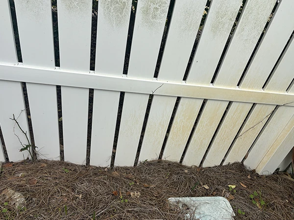 Fence1-Before