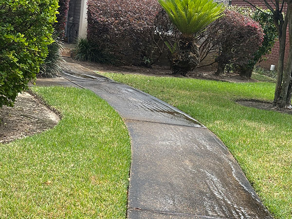 Concrete Curb before